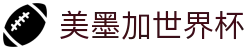 美墨加世界杯_2026世界杯分组赛程与规则说明